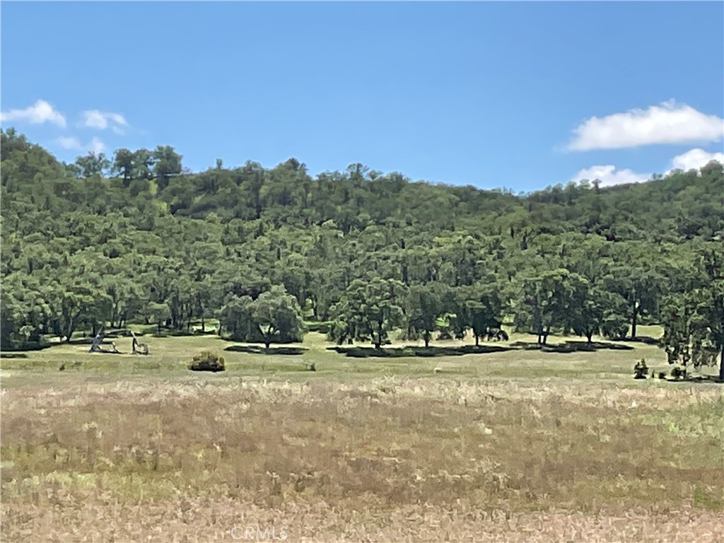 0 Interlake Road Bradley, CA 93426 - Photo 13 of 17