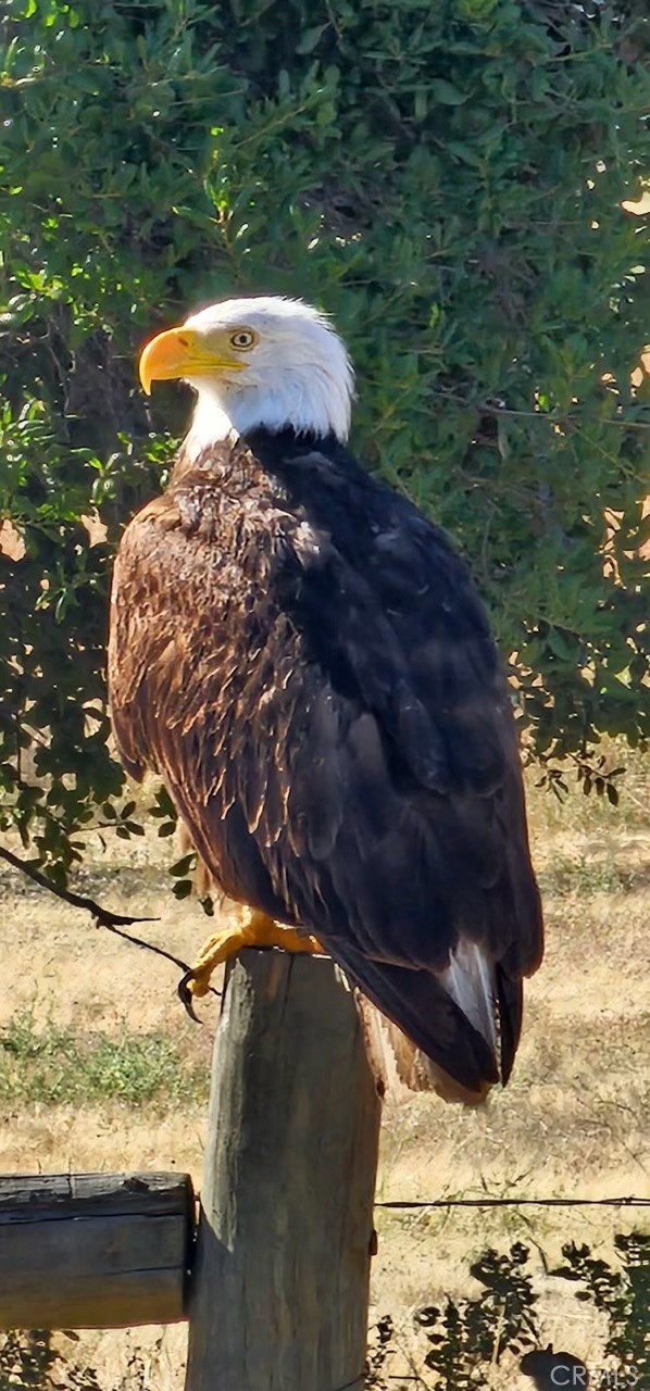 0 Interlake Road Bradley, CA 93426 - Photo 3 of 17 Photos supplied by land owner.