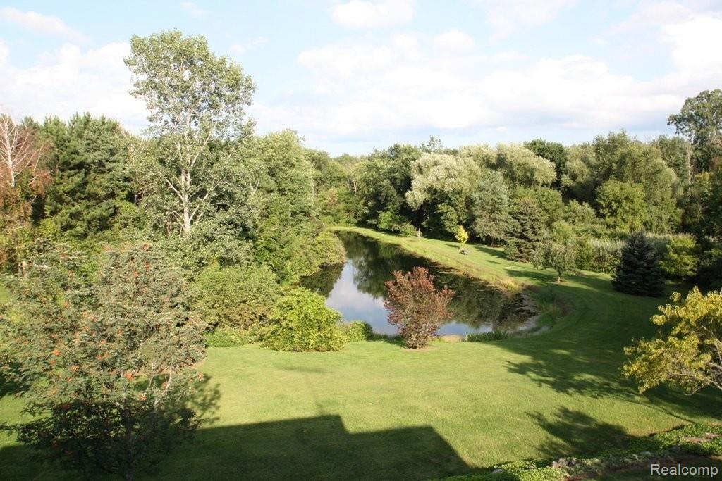 8280 Logana Road Avoca, MI 48006 - Photo 14 of 37 8280 Logana view from mbr.JPG