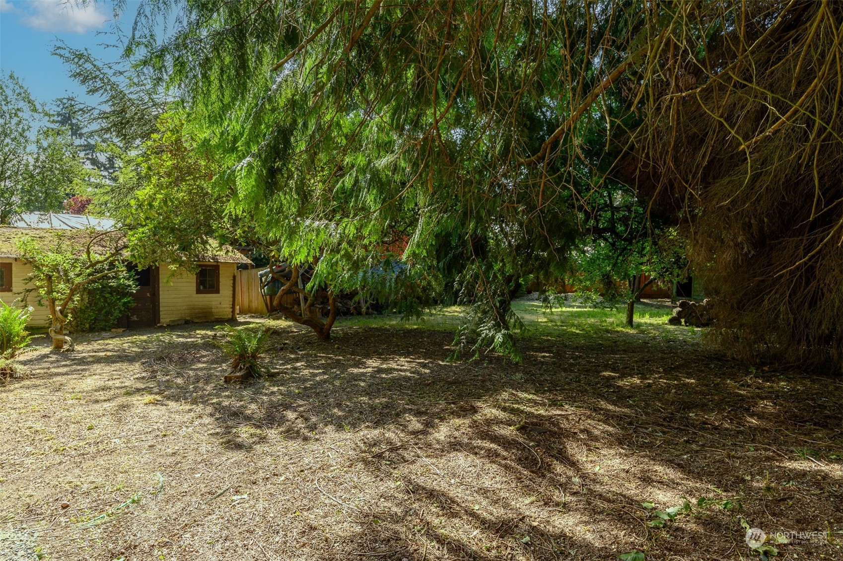 209 Southwest 132nd Street Burien, WA 98146 - Photo 25 of 27 a backyard of a house with lots of green space