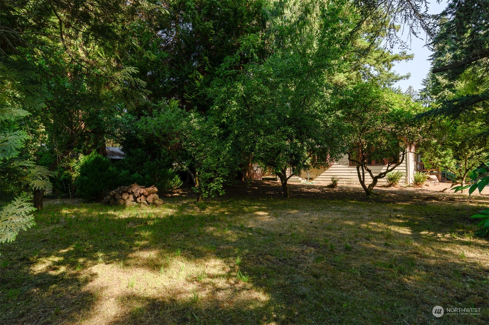 209 Southwest 132nd Street Burien, WA 98146 - Photo 26 of 27 a view of a tree in a yard