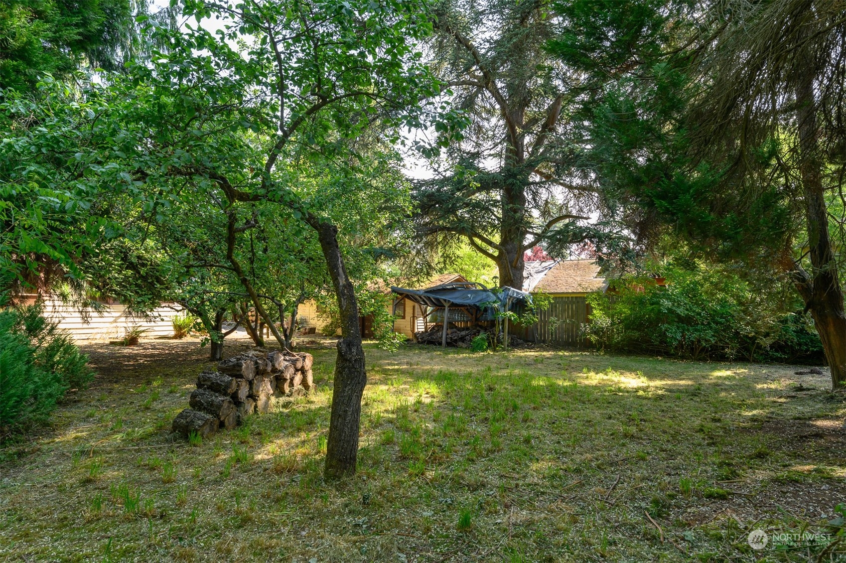 209 Southwest 132nd Street Burien, WA 98146 - Photo 27 of 27 a view of a trees in a yard