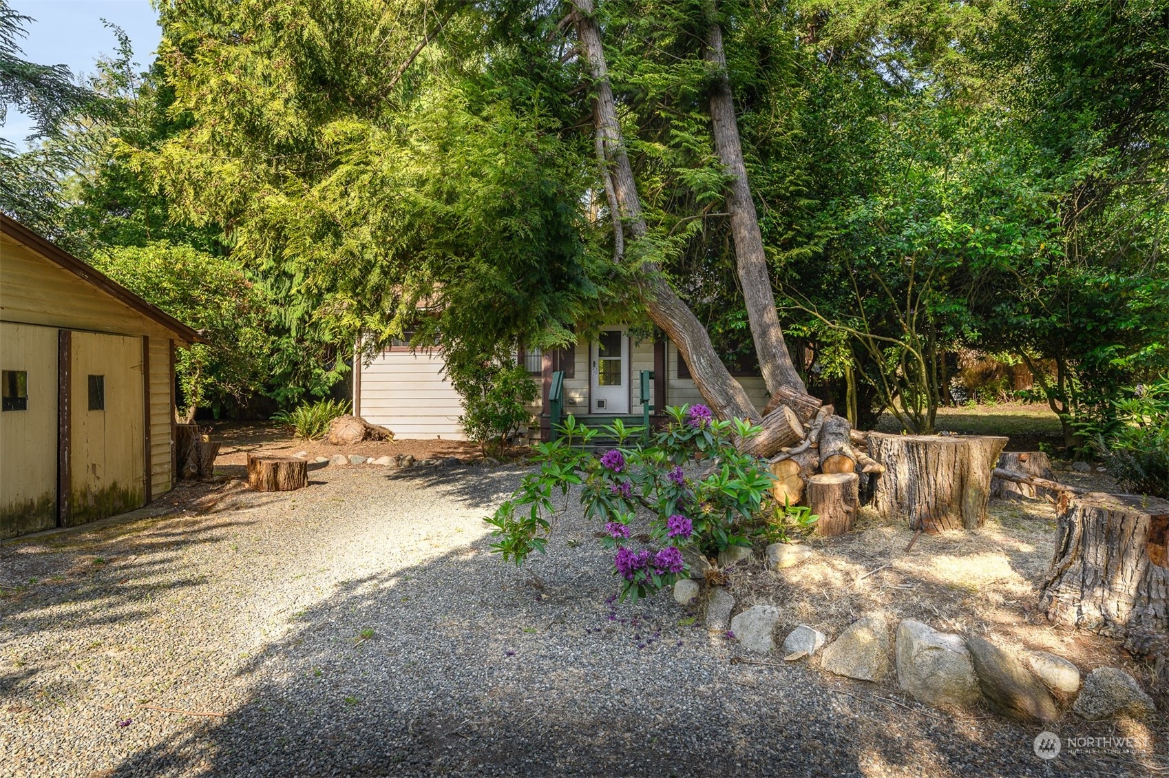 209 Southwest 132nd Street Burien, WA 98146 - Photo 4 of 27 a view of backyard with plants and outdoor seating