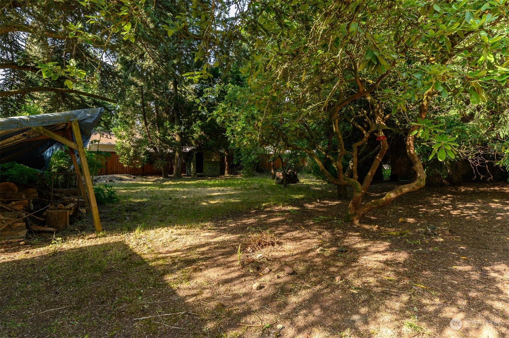 209 Southwest 132nd Street Burien, WA 98146 - Photo 6 of 27 a view of a trees with a yard