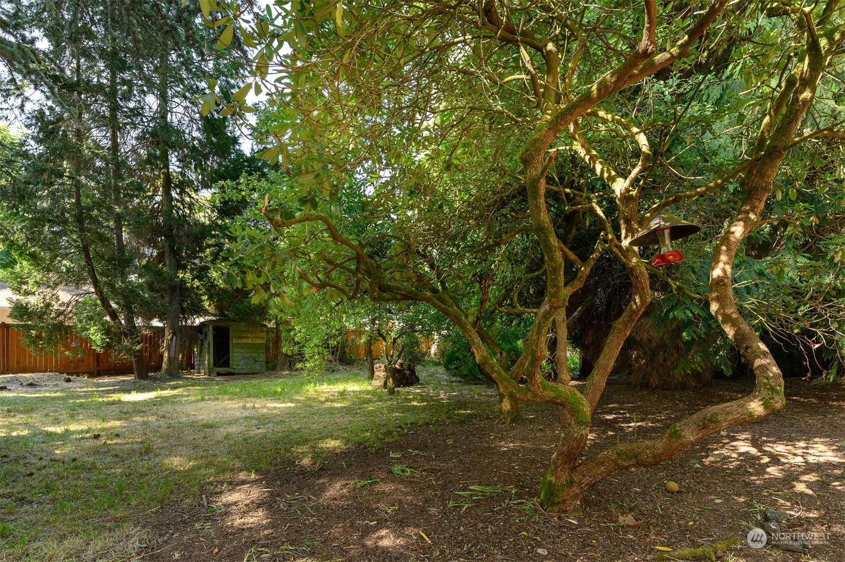 209 Southwest 132nd Street Burien, WA 98146 - Photo 7 of 27 a view of a tree in front of a yard