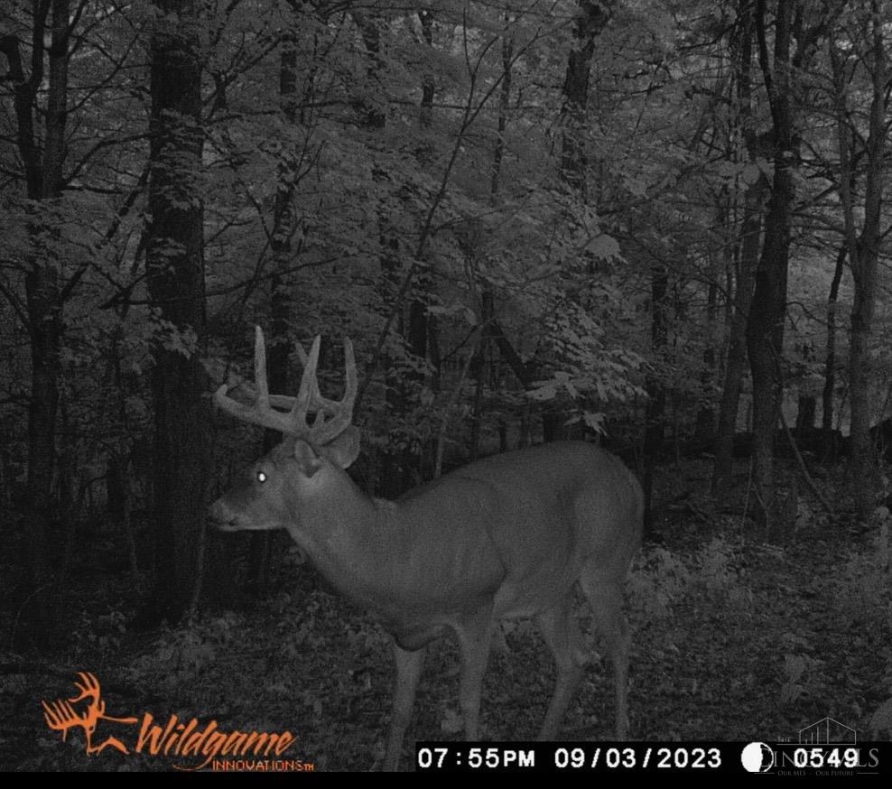 5534 State Rte 7 South Gallipolis, OH 45631 - Photo 32 of 75 Gallery Image 32
