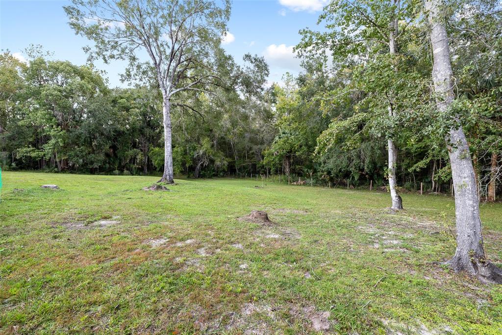11311 Northeast 40th Street Road Silver Springs, FL 34488 - Photo 52 of 67