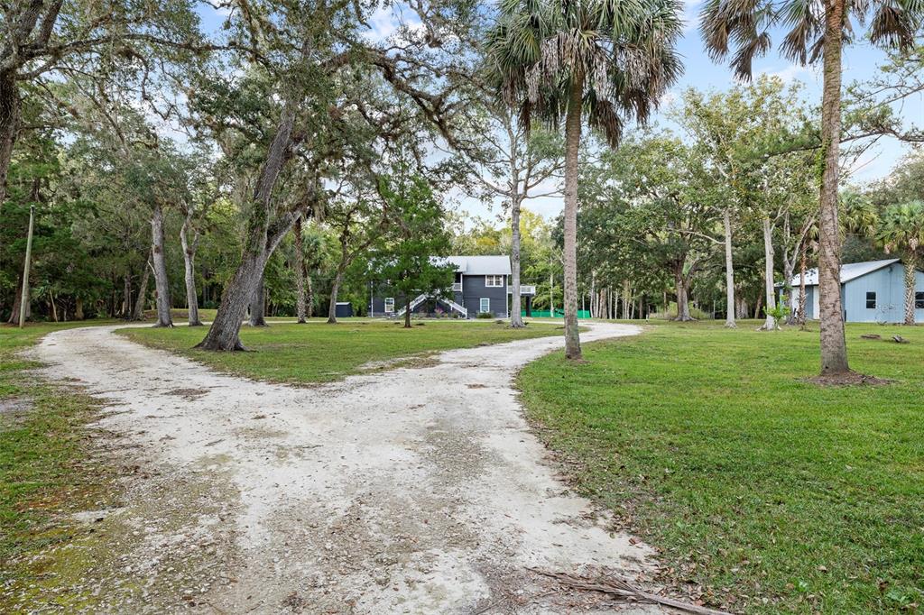 11311 Northeast 40th Street Road Silver Springs, FL 34488 - Photo 55 of 67 a view of a park with tree s
