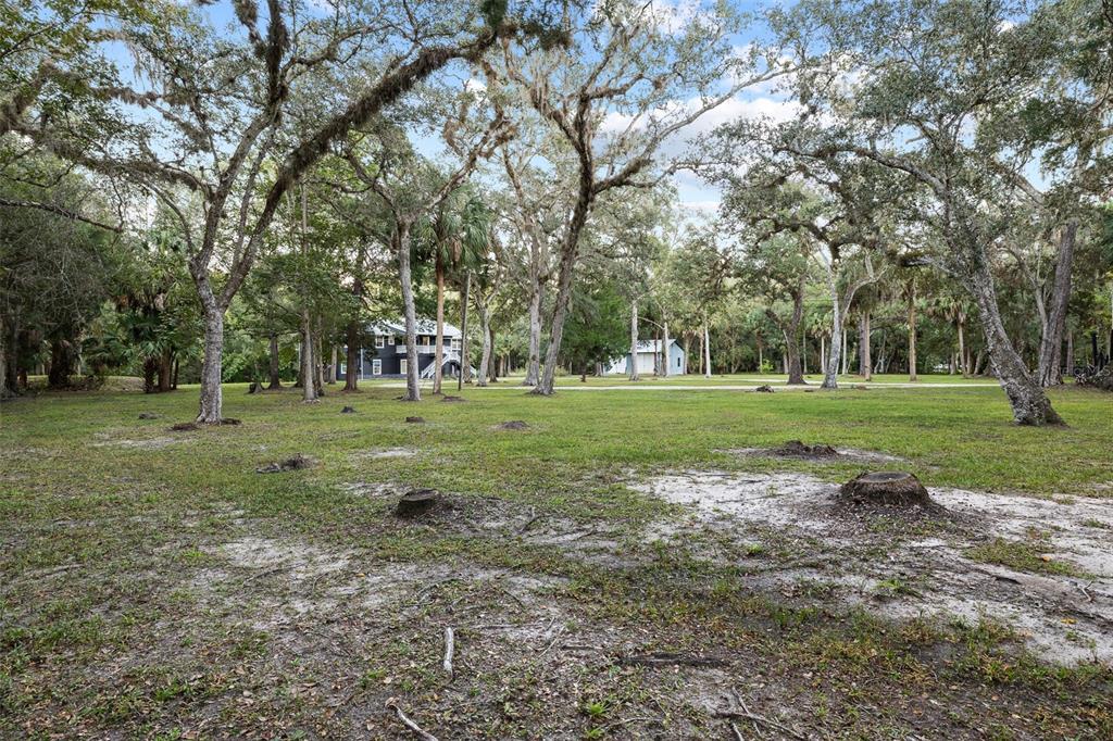 11311 Northeast 40th Street Road Silver Springs, FL 34488 - Photo 61 of 67 a view of a park with large trees