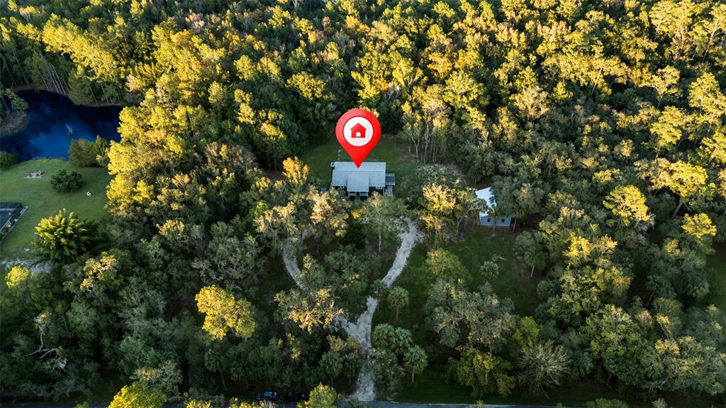 11311 Northeast 40th Street Road Silver Springs, FL 34488 - Photo 64 of 67 a view of a tree in a yard