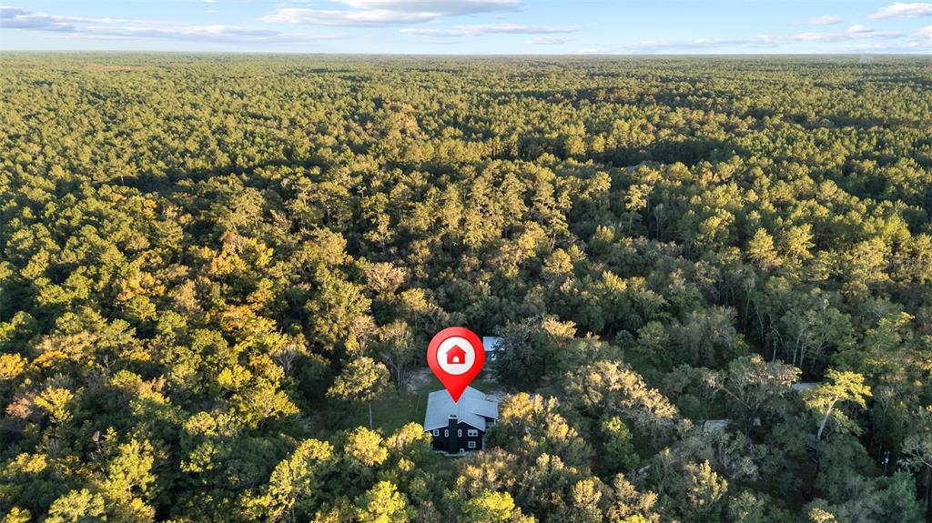 11311 Northeast 40th Street Road Silver Springs, FL 34488 - Photo 66 of 67