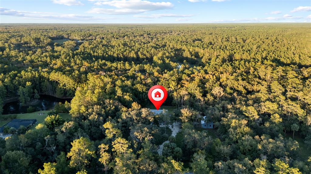 11311 Northeast 40th Street Road Silver Springs, FL 34488 - Photo 67 of 67