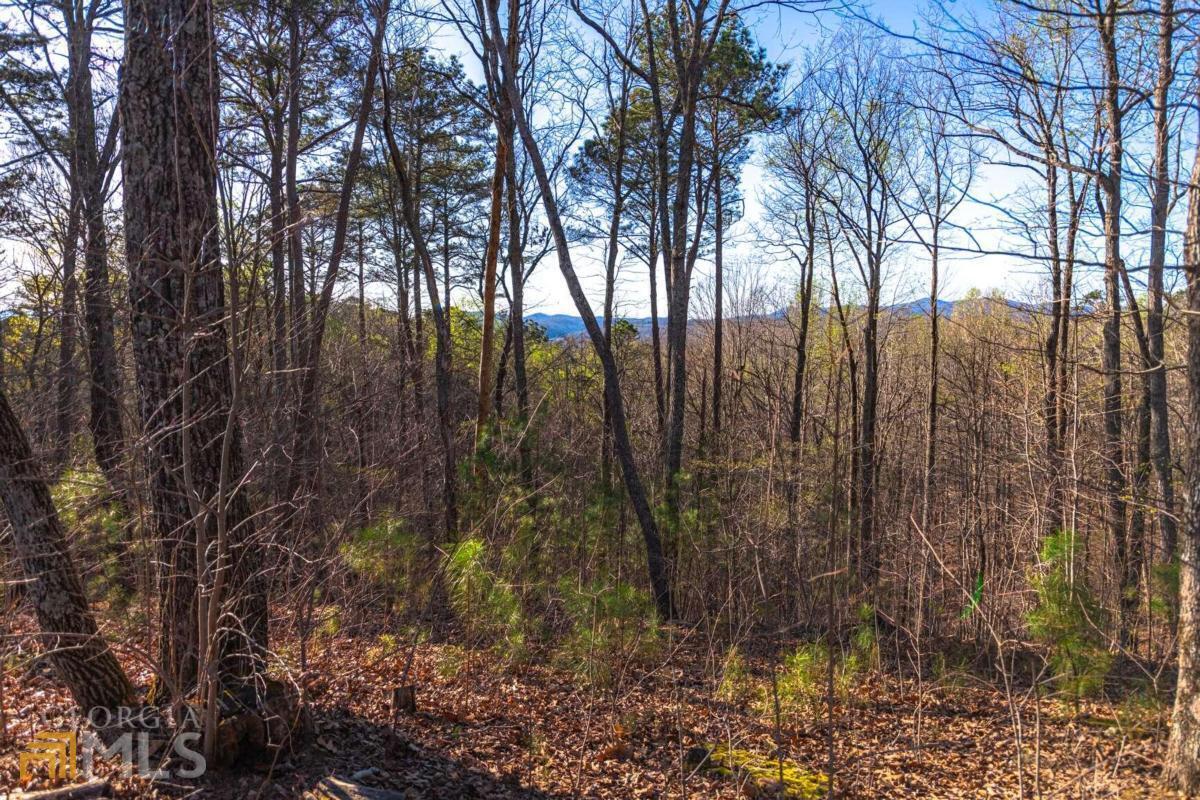 175 Doll Mountain Road, Unit 175 Ellijay, GA 30540 - Photo 1 of 1 Gallery Image 1