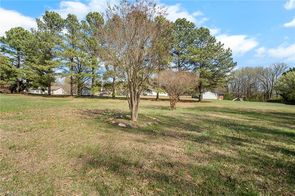 5406 Finch Farm Road Trinity, NC 27370 - Photo 15 of 24 Another backyard view