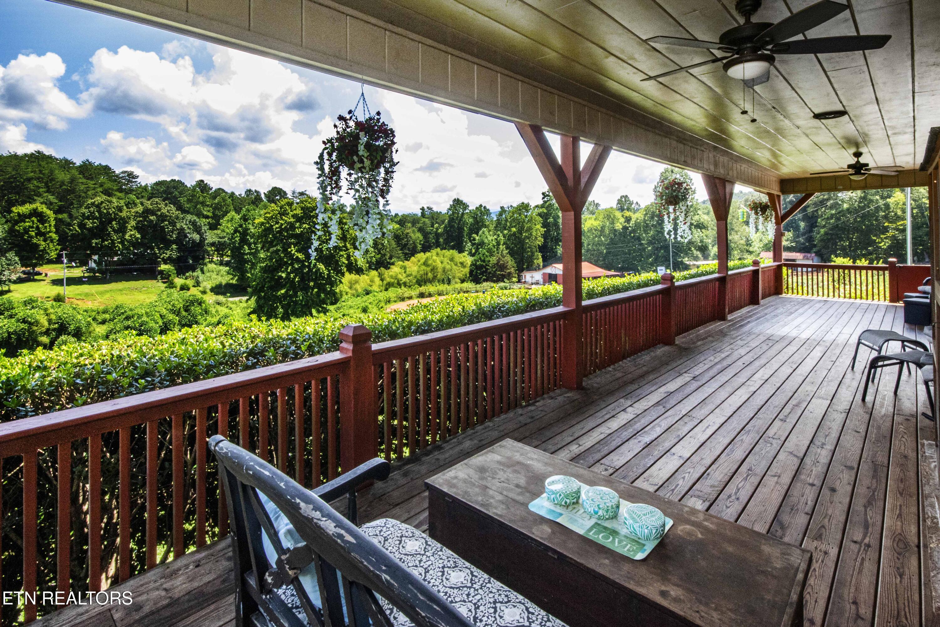 598 Griffith Branch Road Madisonville, TN 37354 - Photo 31 of 60 V19A4190