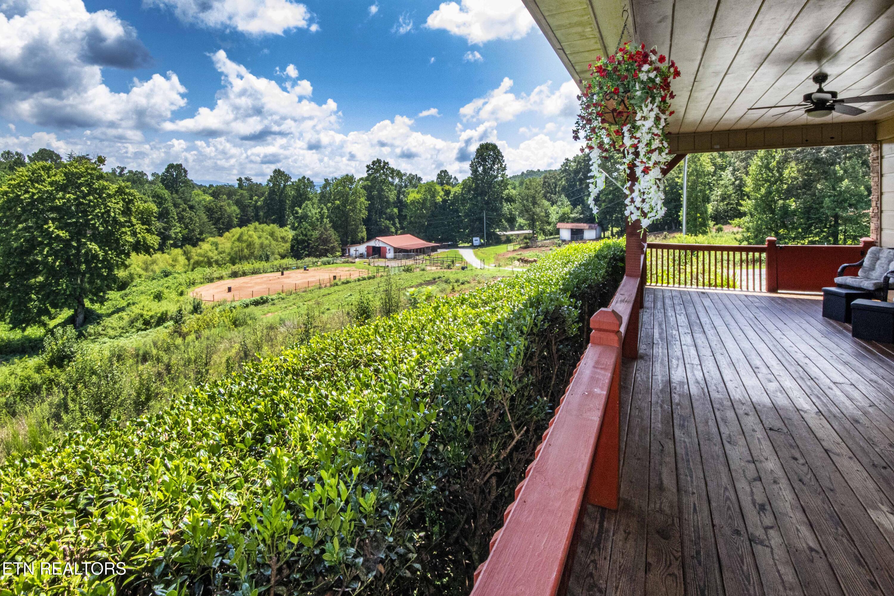 598 Griffith Branch Road Madisonville, TN 37354 - Photo 33 of 60 V19A4193