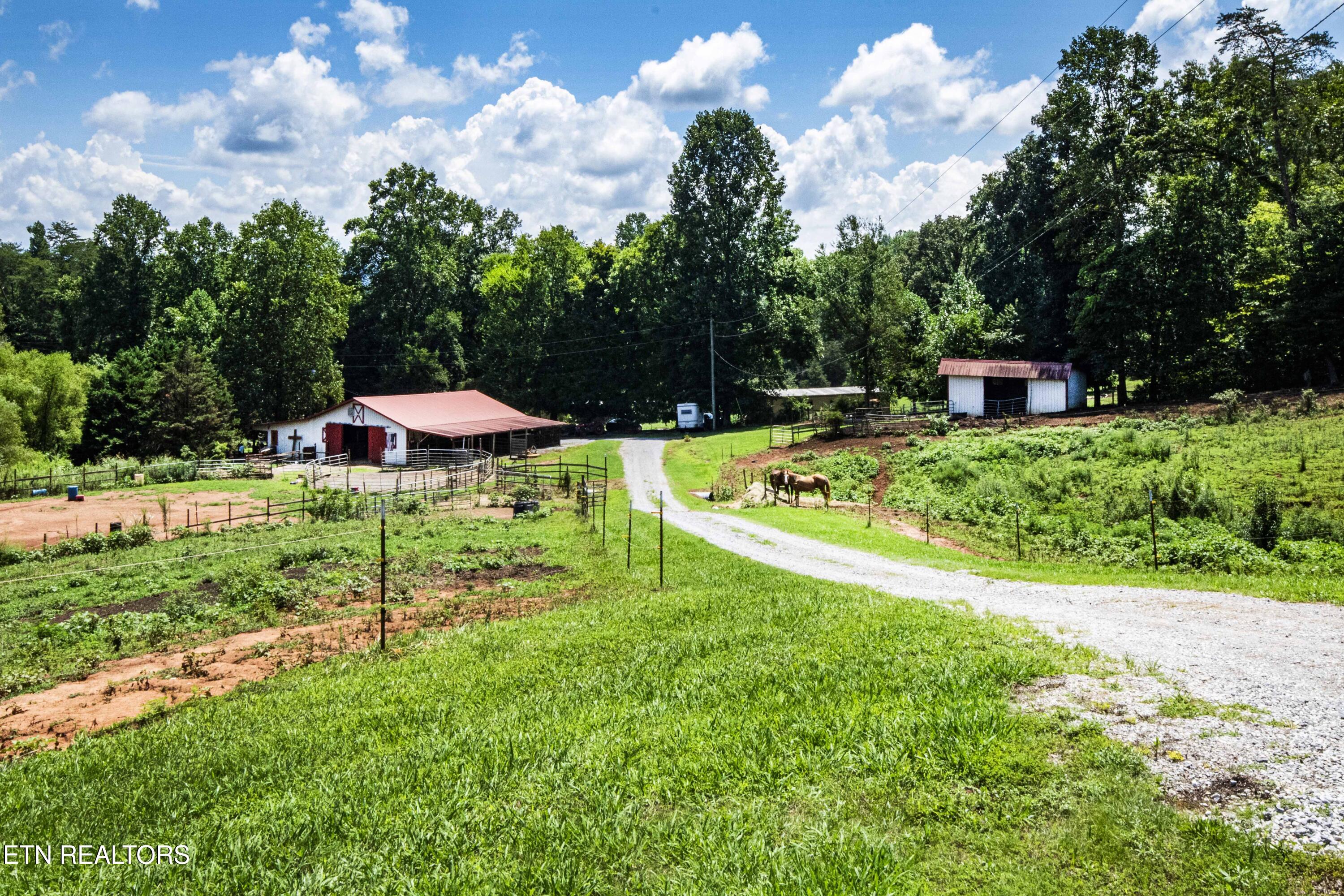 598 Griffith Branch Road Madisonville, TN 37354 - Photo 36 of 60 V19A4201