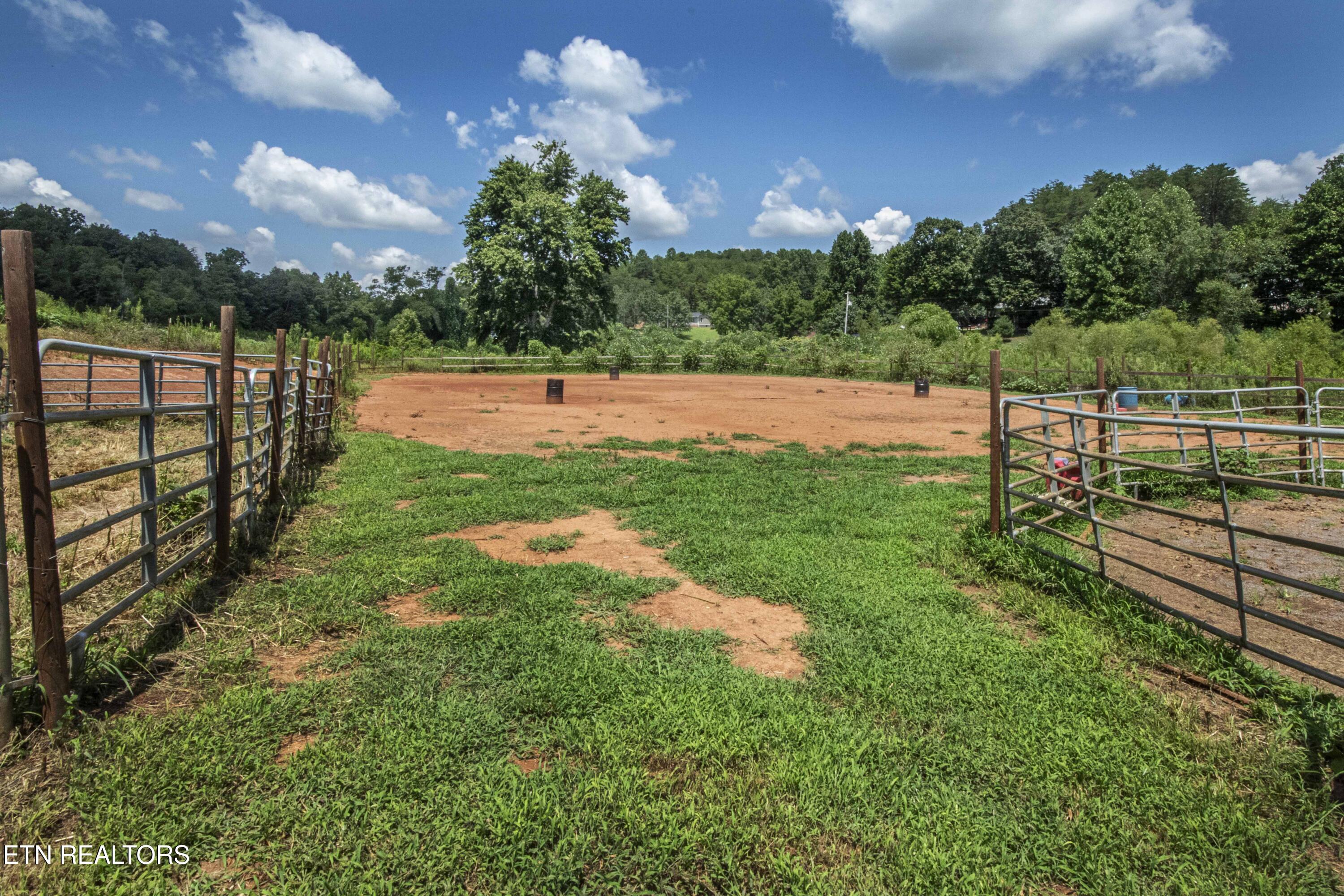 598 Griffith Branch Road Madisonville, TN 37354 - Photo 40 of 60 V19A4209