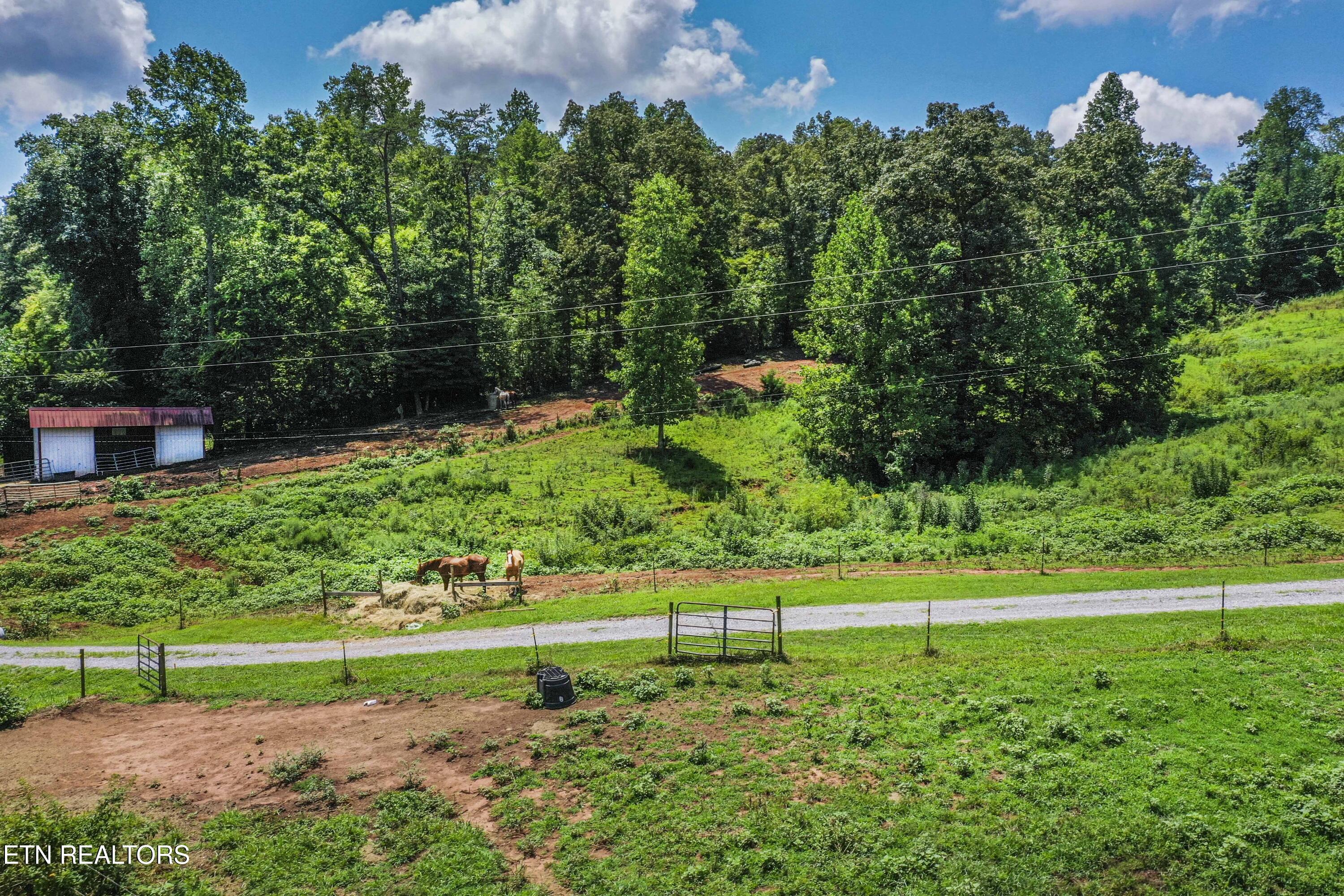 598 Griffith Branch Road Madisonville, TN 37354 - Photo 8 of 60 DJI_0487