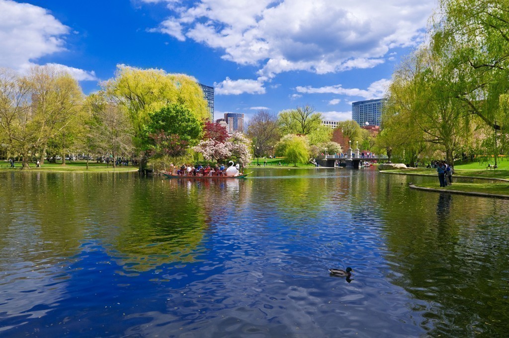 89 Beacon Street, Unit PH Boston, MA 02108 - Photo 19 of 22 a view of a lake with houses in the background