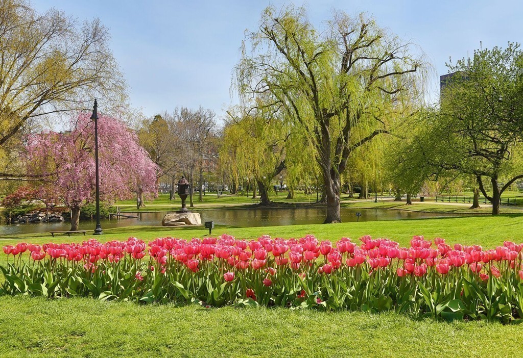 89 Beacon Street, Unit PH Boston, MA 02108 - Photo 20 of 22 a view of yard with fountain and flowers