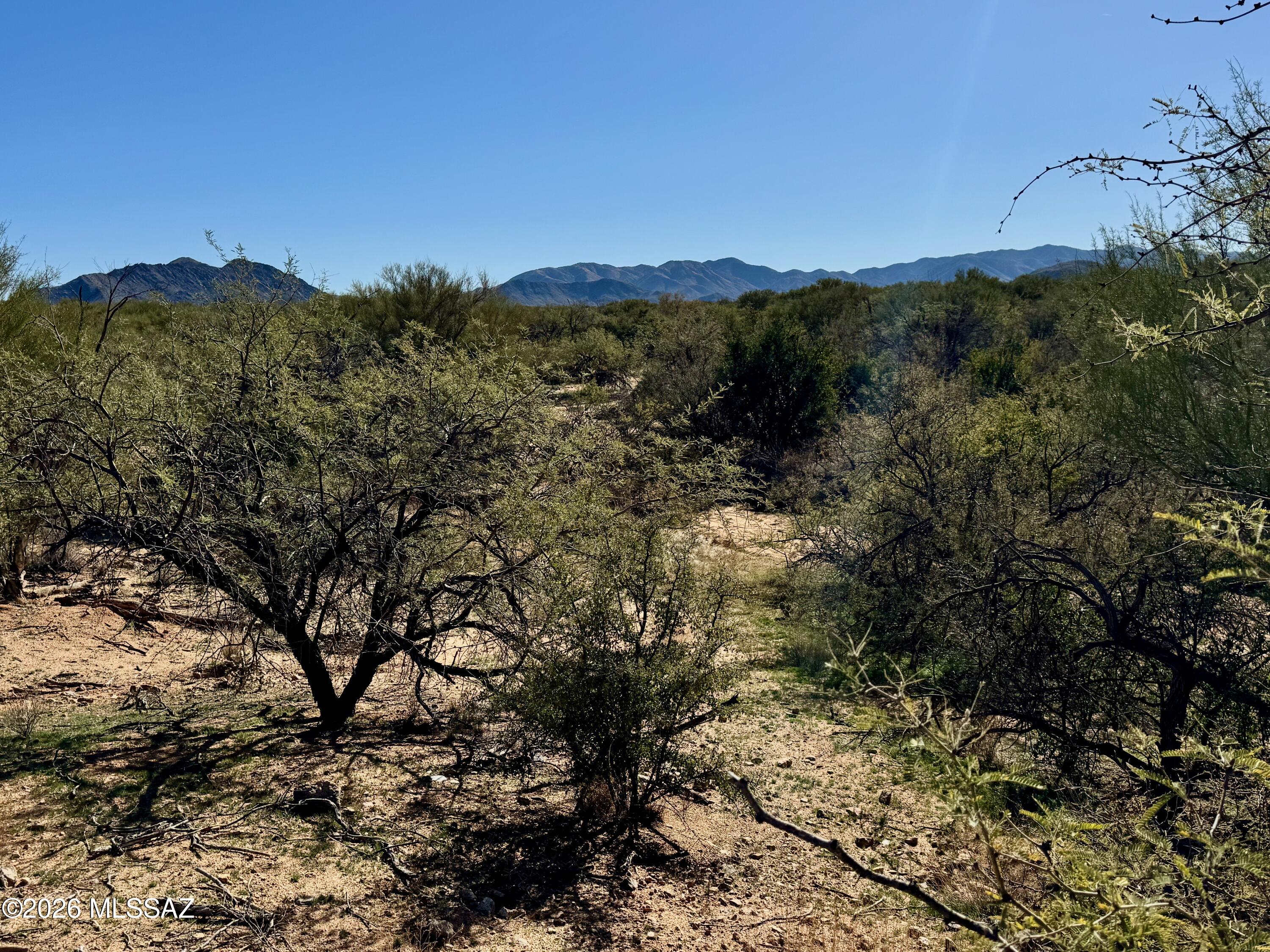 15783 West Phillips Road, Unit 151 Tucson, AZ 85736 - Photo 14 of 35