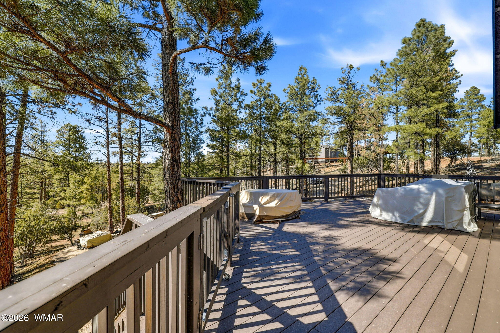 2371 Florian Mdw Trail Overgaard, AZ 85933 - Photo 3 of 34 2371FlorianMeadowTrl-HeberOvergaard-AZ-3