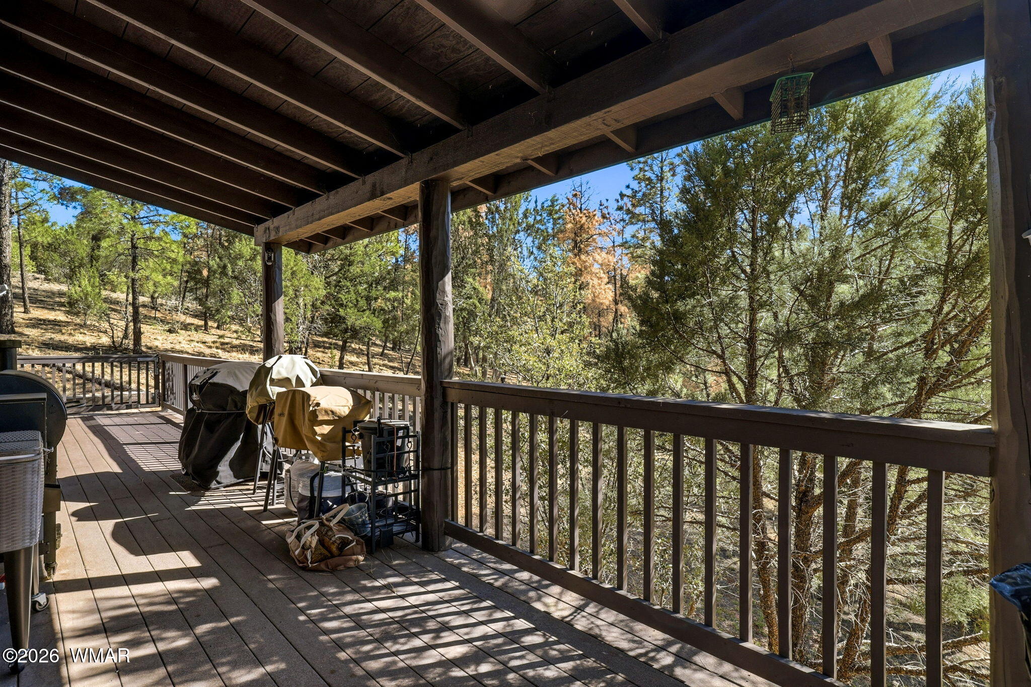 2371 Florian Mdw Trail Overgaard, AZ 85933 - Photo 5 of 34 2371FlorianMeadowTrl-HeberOvergaard-AZ-5