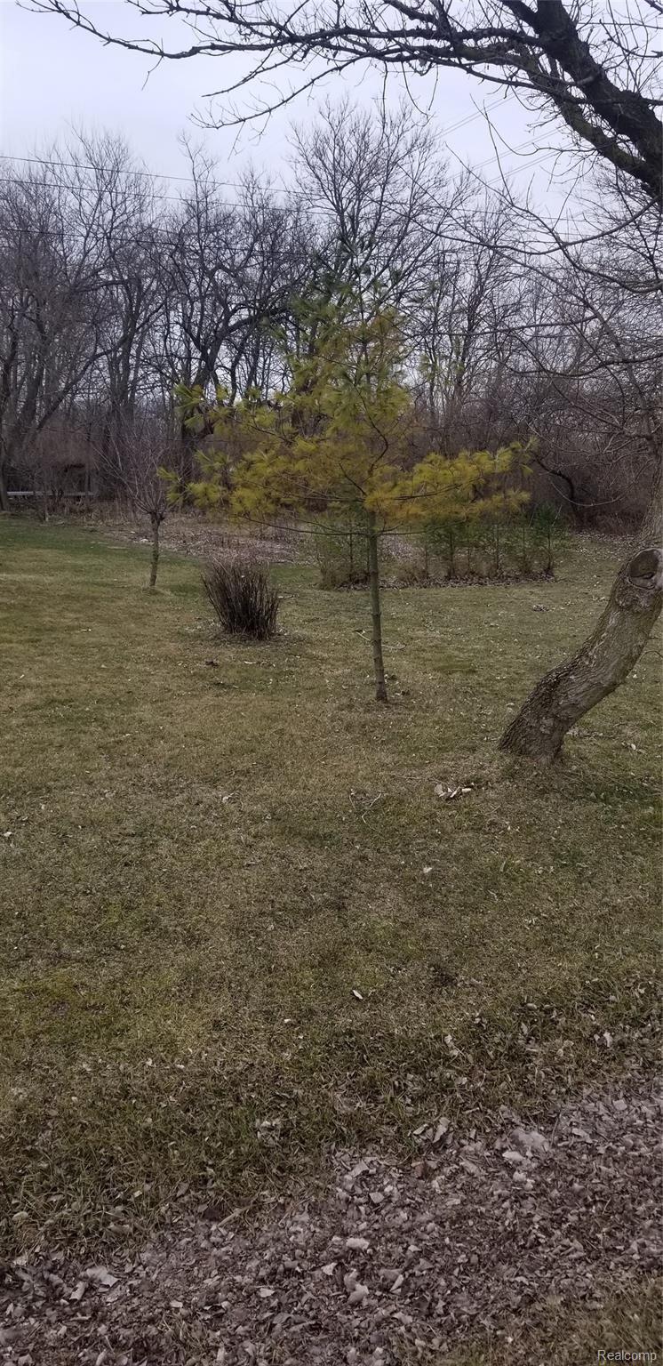 4279 Douglas Road Ida, MI 48140 - Photo 5 of 31 20210316_104208.jpg