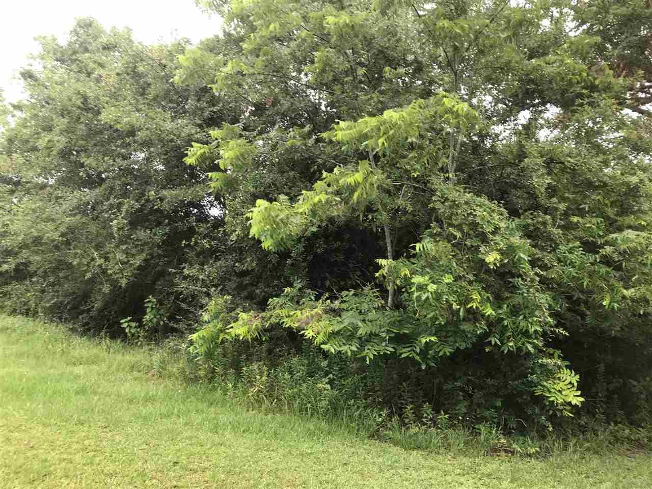 590 Roach Road McDavid, FL 32568 - Photo 12 of 18