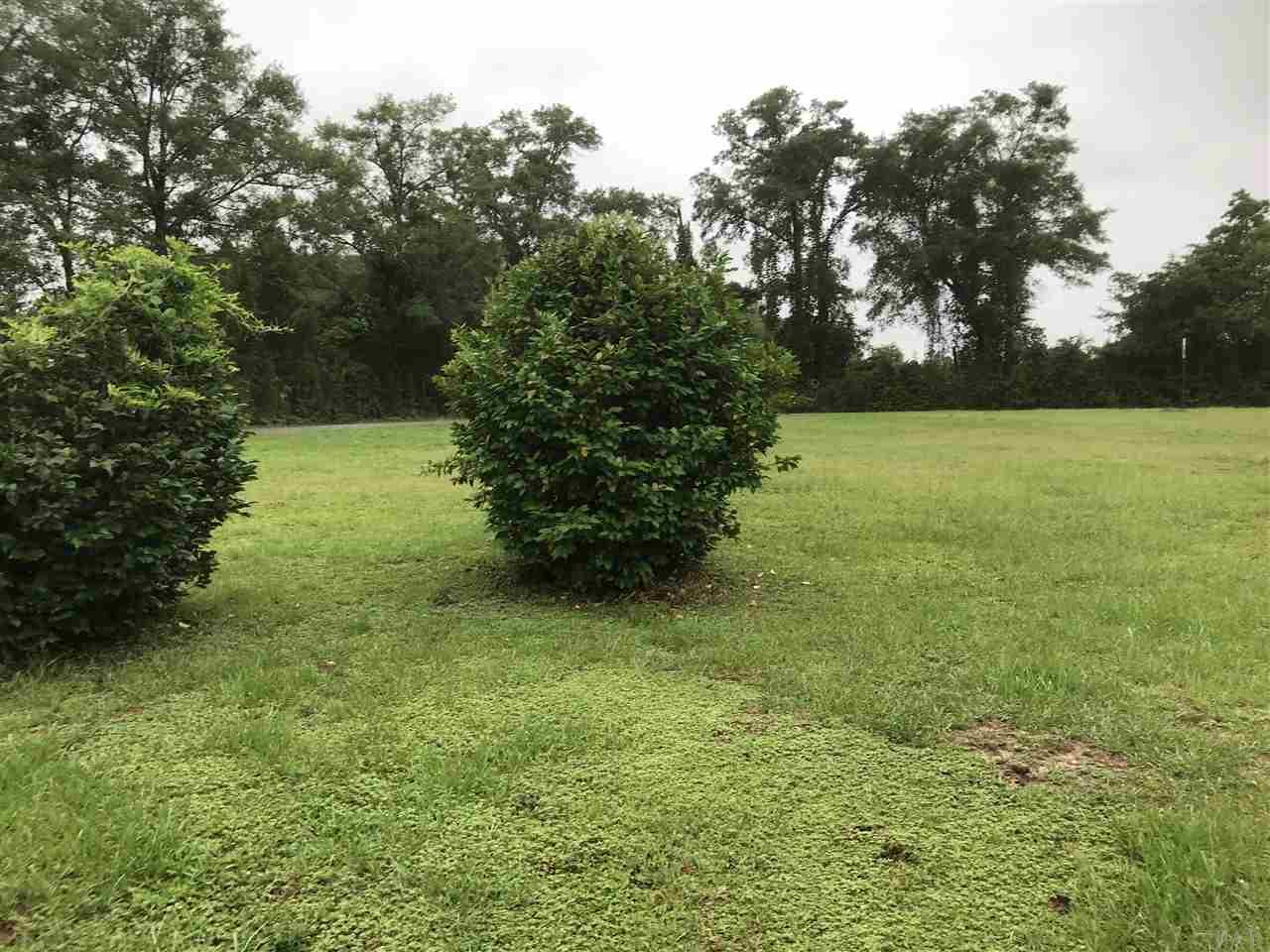 590 Roach Road McDavid, FL 32568 - Photo 7 of 18