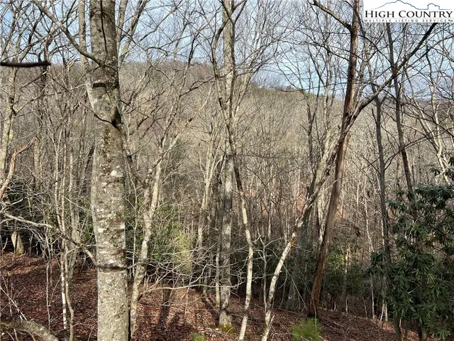 $10,000 | 19 Speckled Drive, Laurel Springs, NC 28644