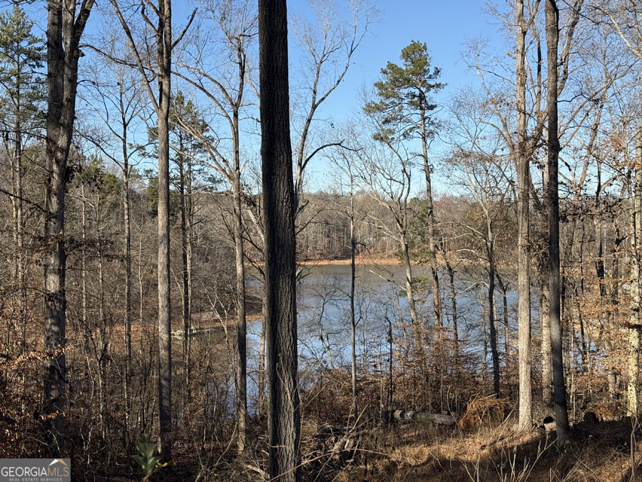 0 View Point Place Lavonia, GA 30553 - Photo 1 of 1