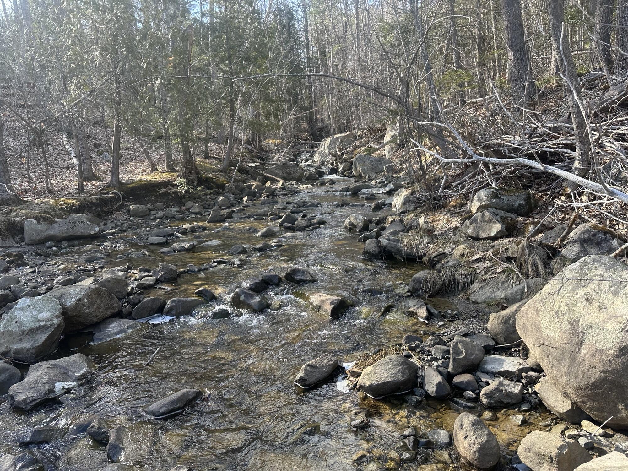 55 Lower Oak Point Road Winterport, ME 04496 - Photo 9 of 31