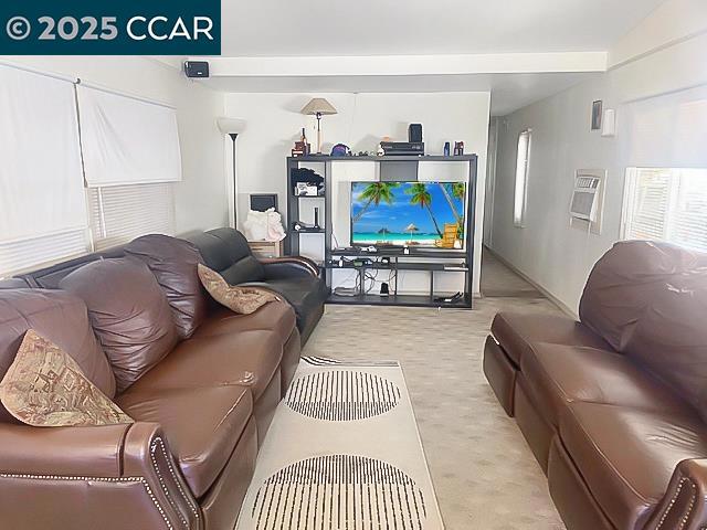 841 West Brannan Island Road Isleton, CA 95641 - Photo 7 of 22 a living room with furniture a rug and a flat screen tv