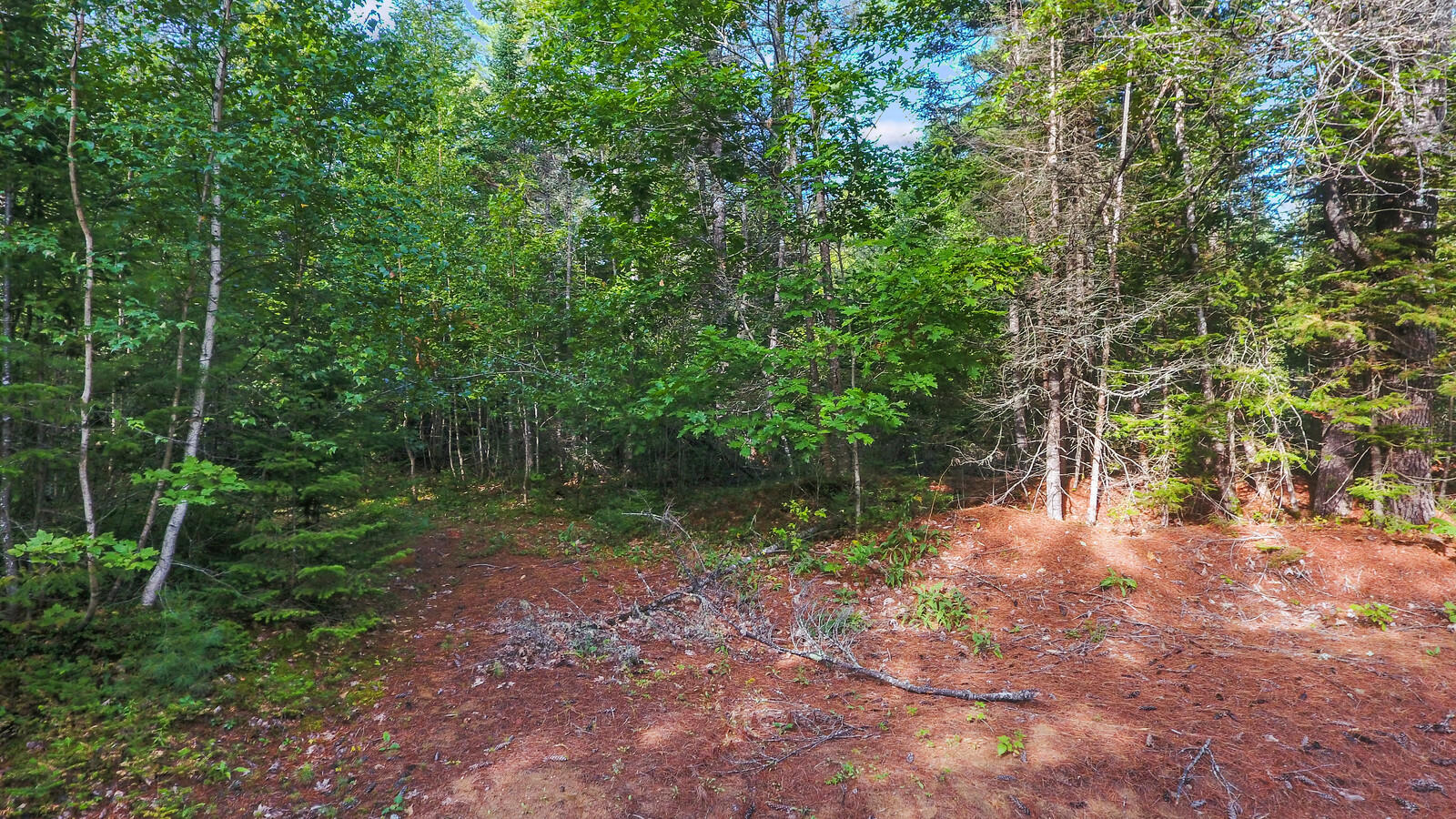 167 Harrison Road Oxford, ME 04270 - Photo 36 of 40 09_DJI_0016_copy_mls
