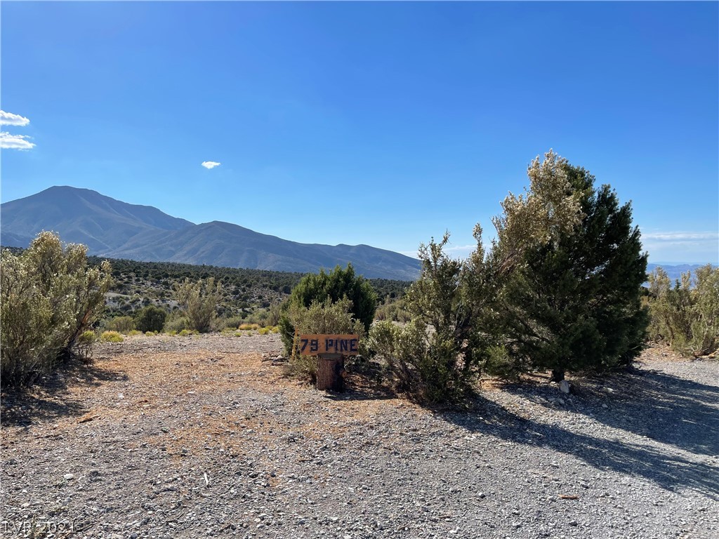 79 Pine Road Cold Creek, NV 89124 - Photo 1 of 23 Gallery Image 1