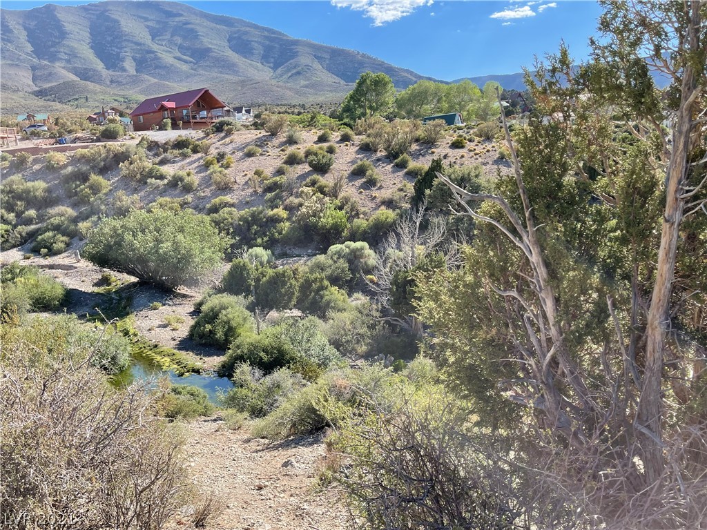 79 Pine Road Cold Creek, NV 89124 - Photo 13 of 23 Gallery Image 13