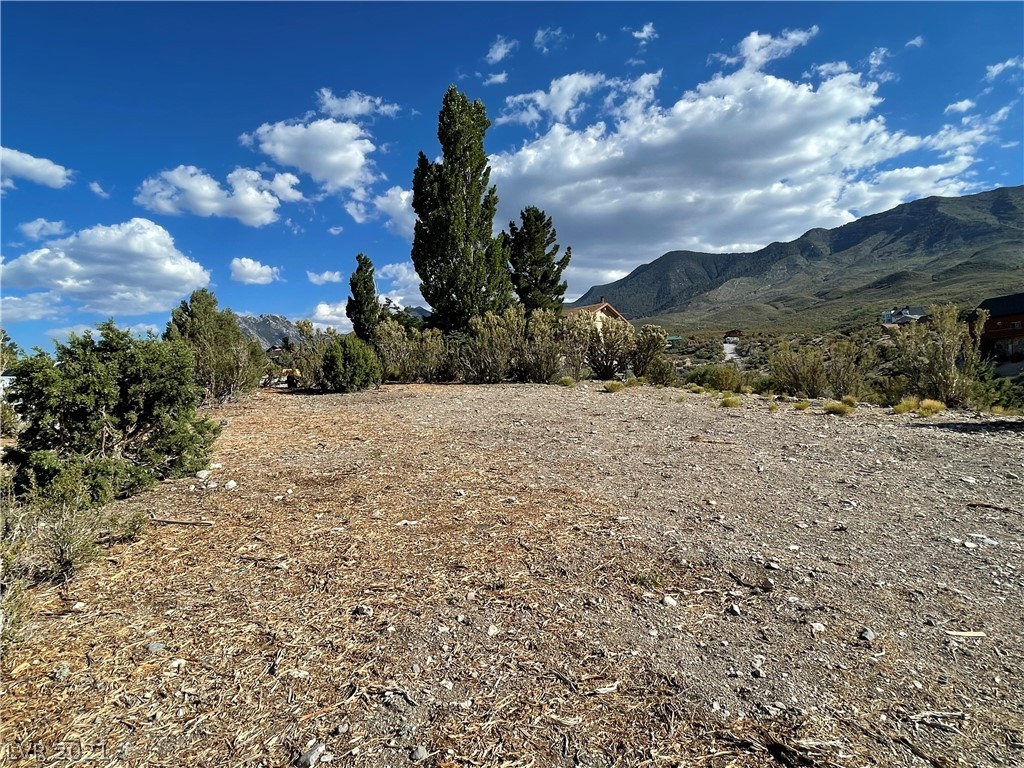 79 Pine Road Cold Creek, NV 89124 - Photo 17 of 23 Gallery Image 17