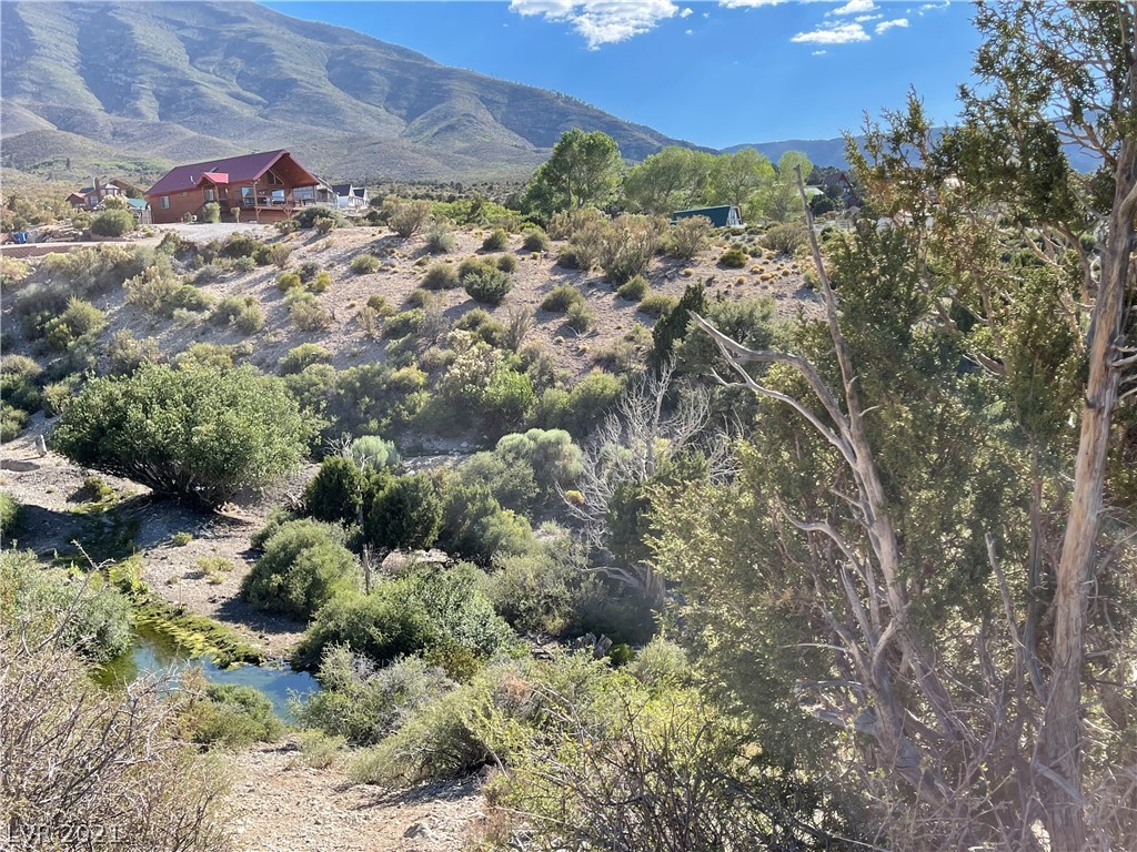 79 Pine Road Cold Creek, NV 89124 - Photo 3 of 23 Gallery Image 3