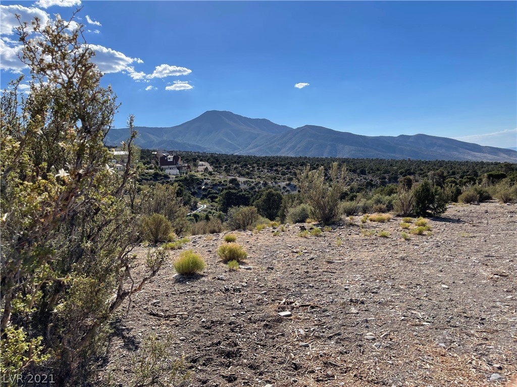 79 Pine Road Cold Creek, NV 89124 - Photo 4 of 23 Gallery Image 4