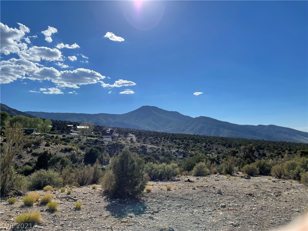 79 Pine Road Cold Creek, NV 89124 - Photo 8 of 23 Gallery Image 8