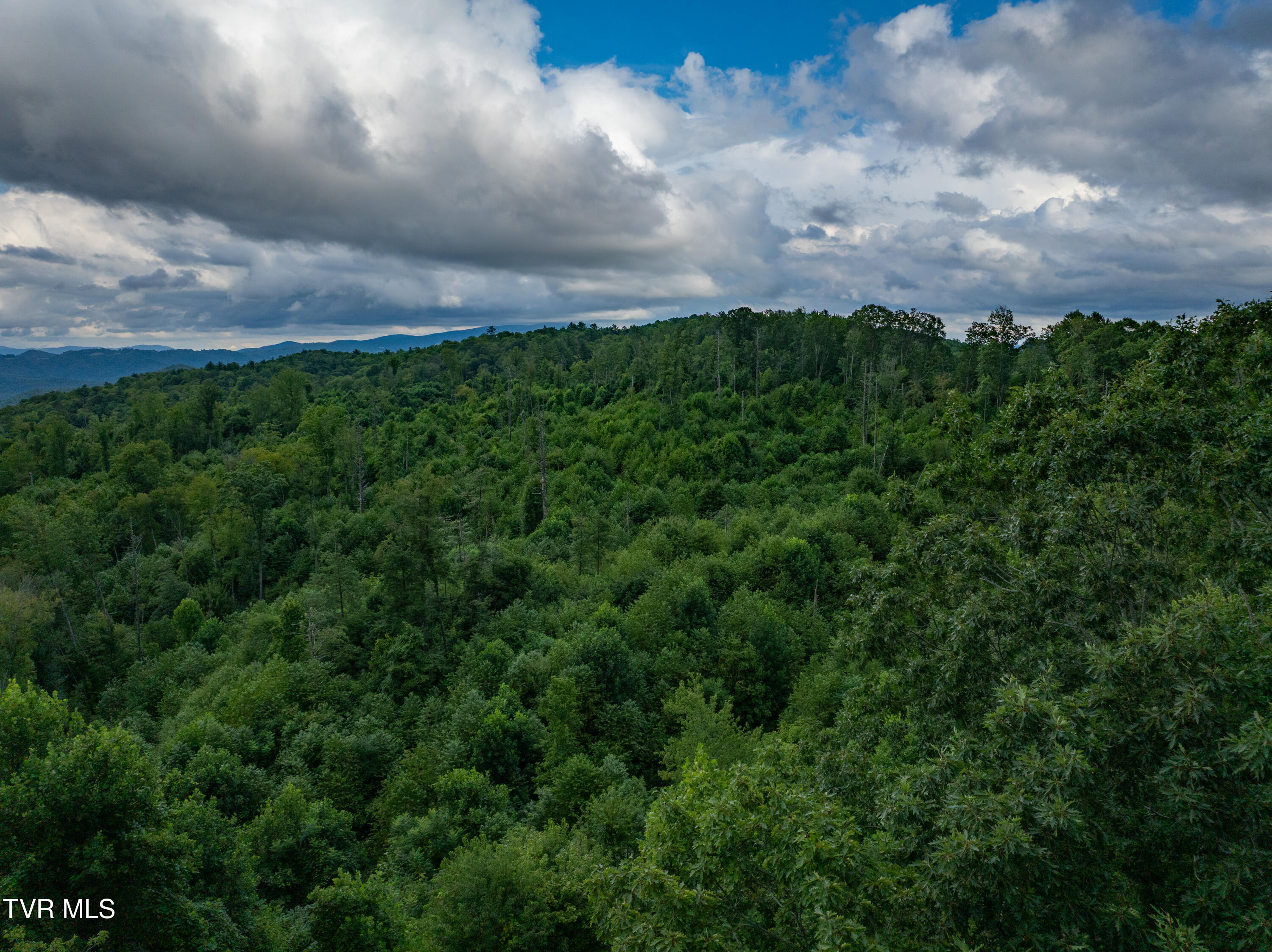 Tbd Walnut Mountain Road, Unit TBD Butler, TN 37640 - Photo 22 of 22 DJI_20250802180437_0767_D