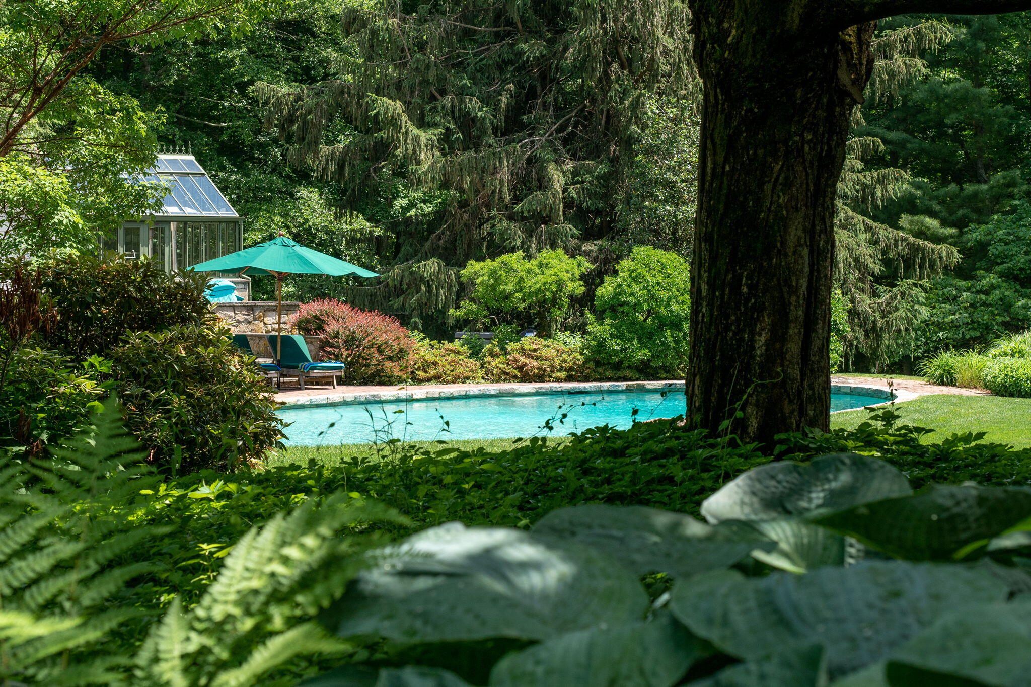 301 Rosebrook Road New Canaan, CT 06840 - Photo 39 of 54 web_DSC01199