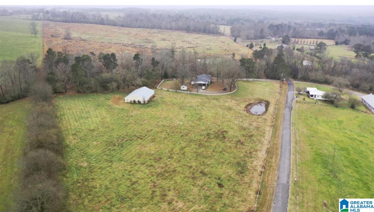 1236 A Reneau Road Oneonta, AL 35121 - Photo 4 of 12