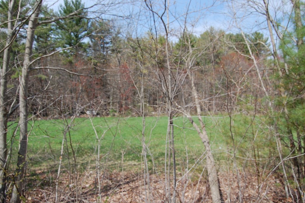 Lot 2 North Brookfield Road Spencer, MA 01562 - Photo 1 of 1 Gallery Image 1