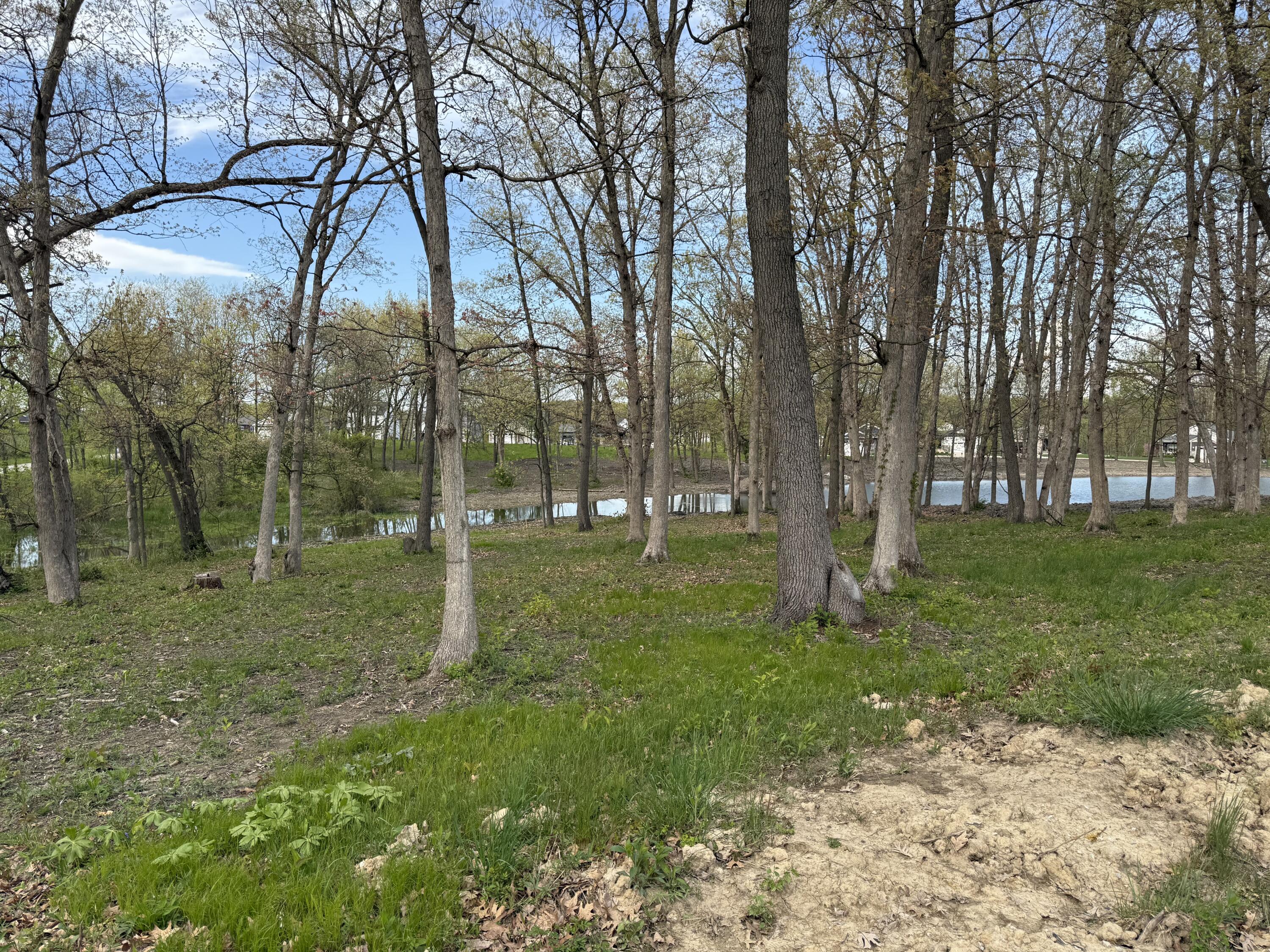 733 Druim Trail Crown Point, IN 46307 - Photo 2 of 6 a view of yard with trees