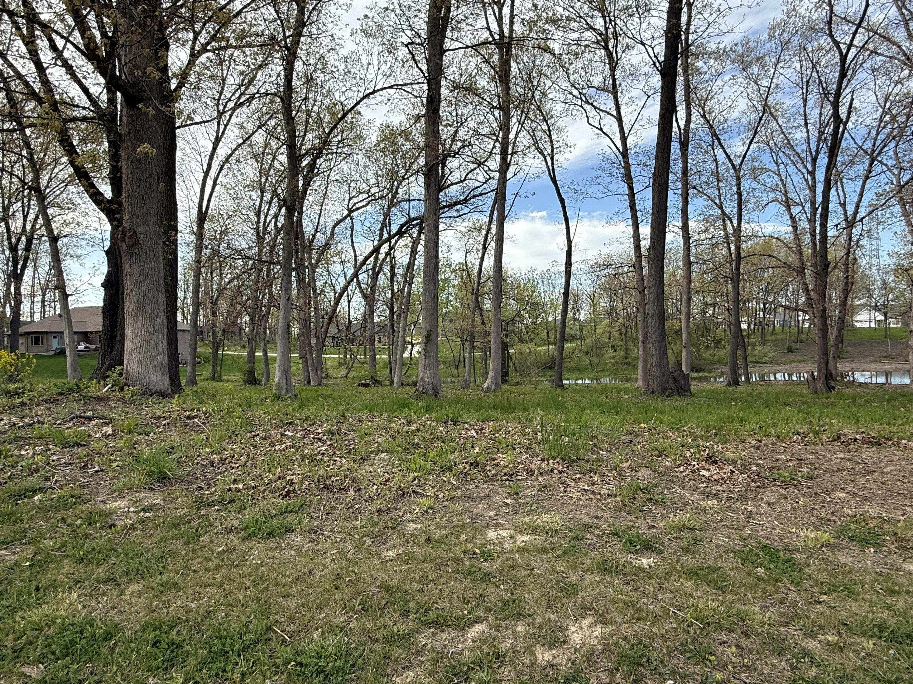 733 Druim Trail Crown Point, IN 46307 - Photo 3 of 6 a view of outdoor space with trees