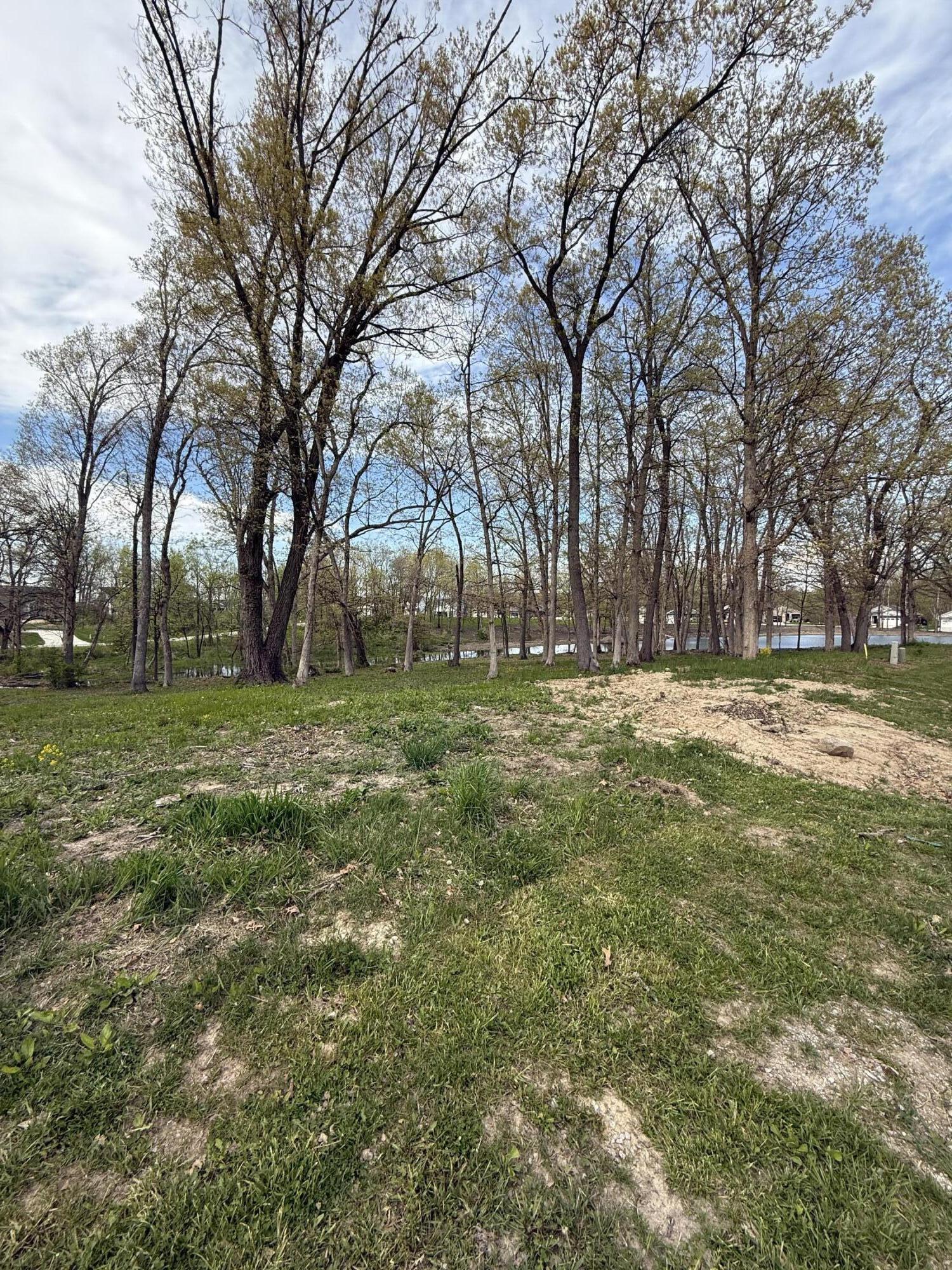 733 Druim Trail Crown Point, IN 46307 - Photo 4 of 6 a view of a yard with a tree
