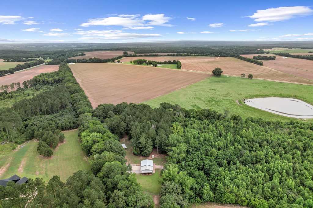 401 Macedonia Road Hartford, AL 36344 - Photo 19 of 61